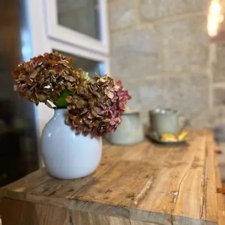 Casa Con Encanto En Ribeira Sacra Semesterbostad